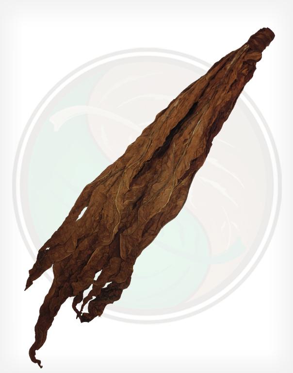 Everything About Grabba & Fronto Leaves