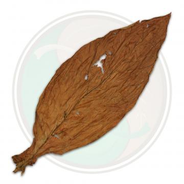 QB-52 Low Grade Pennsylvania Broadleaf Cigar Wrapper Fronto Whole Tobacco Leaf