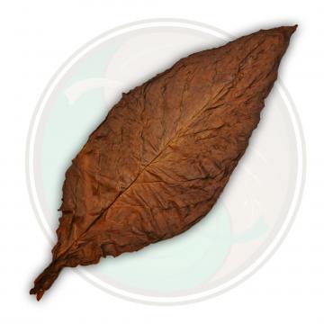 QB Dark Fronto Leaf