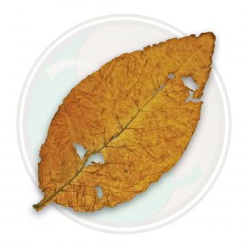 American Virginia Flue Cured Blonde Tobacco Leaf