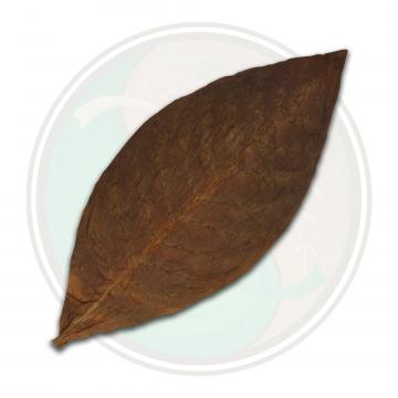 Mexican San Andres Cigar Wrapper Tobacco Leaf Only